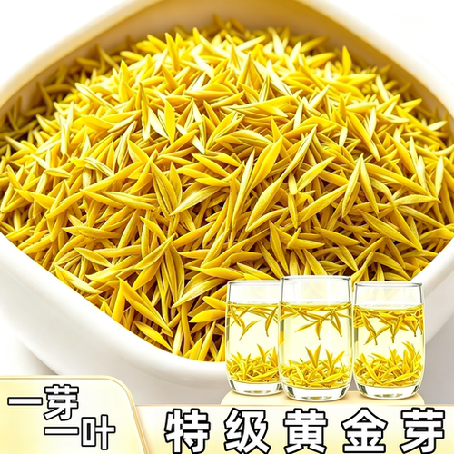 香，鲜，嫩，2026新茶黄金芽茶叶