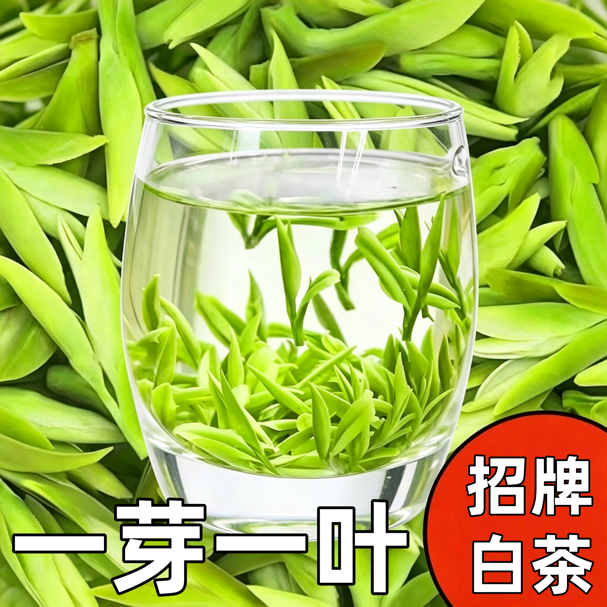 【一芽一叶安吉产白茶】2026新茶正宗兰花香型春茶高端绿茶茶叶