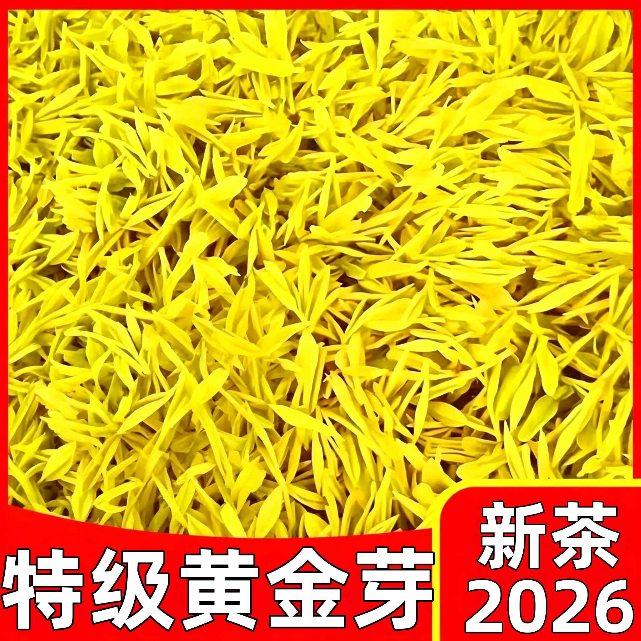 黄金芽特级500g罐装。