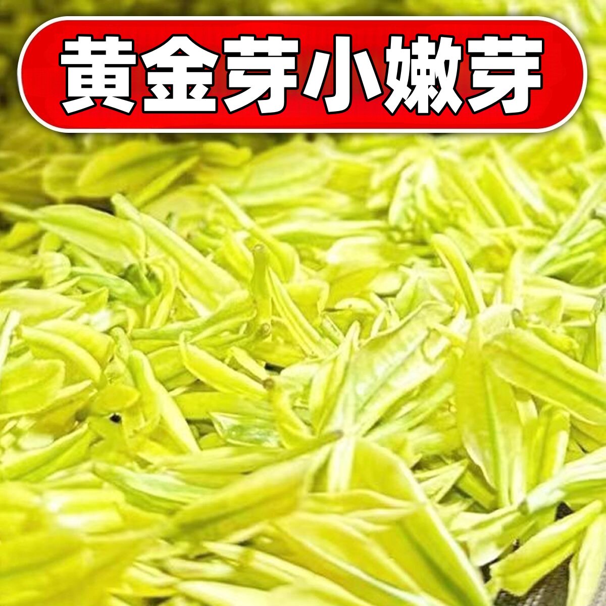 黄金芽茶叶，好喝不贵。