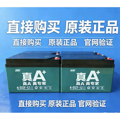 铅酸电动车电池超威蓄电瓶电动车