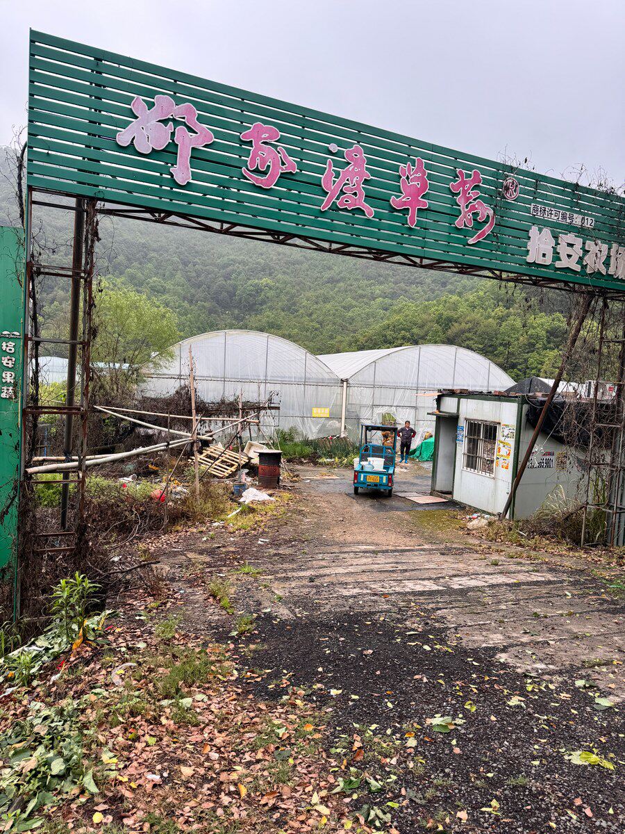 6月10日台州市农业公司名下3组连栋钢架大棚及2间集装箱式活动板房网络拍卖公告