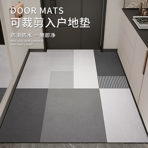 入户门地垫pvc可擦免洗门口门垫