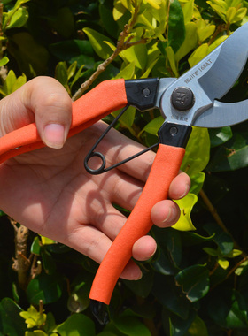 佐川吉168AT台湾修枝剪园艺工具台湾正品手剪果树花卉盆景修枝剪