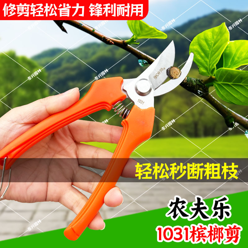农夫乐冈弘槟榔剪园艺剪树枝剪刀粗枝果树修枝修花水果剪刀F-004