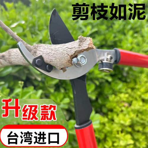 园林剪枝剪刀剪树枝修剪园用果树