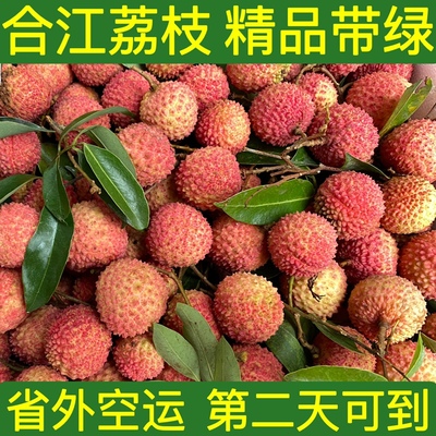 四川正宗合江荔枝现摘现发合江带绿现摘现发顺丰空运5斤包邮