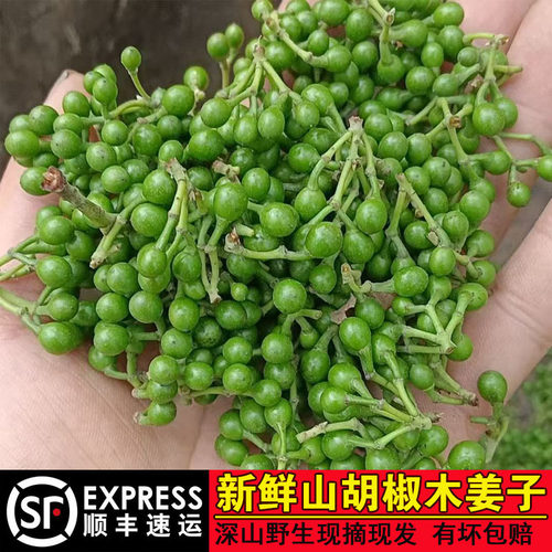 湖南新鲜木姜子山胡椒山椒子藤椒