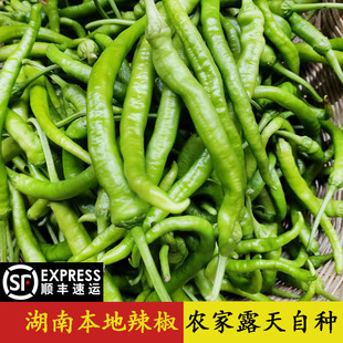 【顺丰包邮】湖南老品种新鲜辣椒薄皮香辣本地青辣椒农家种二荆条