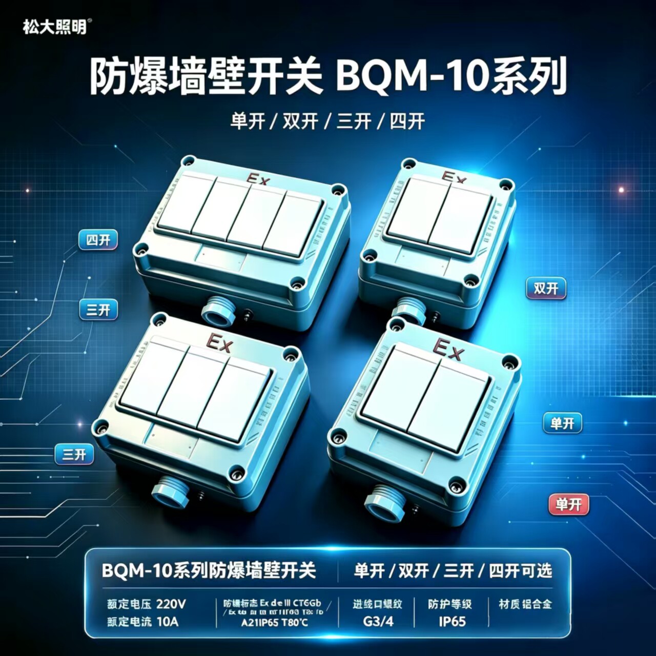 松大BQM-10防爆墙壁开关10A220V防水防尘照明86型一开二开三开