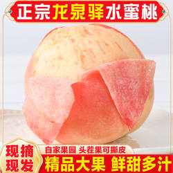 正宗四川成都龙泉驿水蜜桃当季新鲜水果整箱5斤白凤桃子孕妇超甜