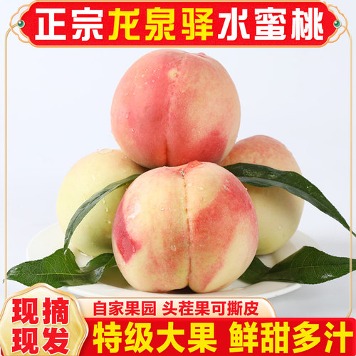 正宗四川成都龙泉驿水蜜桃现摘新鲜整箱5斤白凤桃子当季孕妇水果