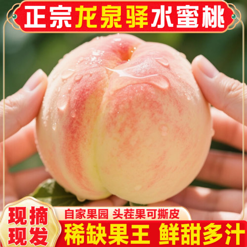 【稀缺果王】正宗四川龙泉驿水蜜桃现摘新鲜白凤桃子当季水果礼盒