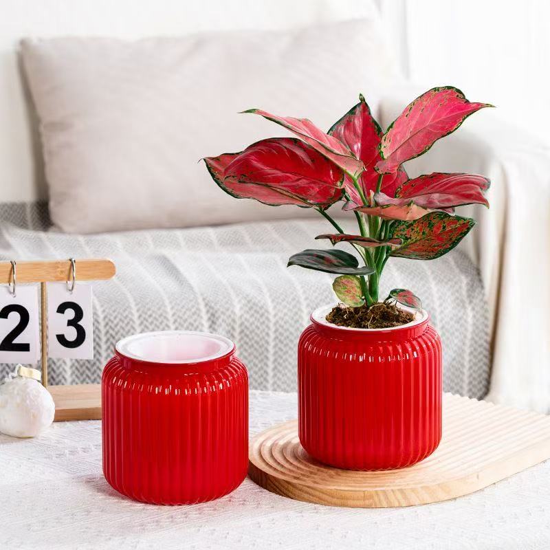 新款自吸水懒人花盆好看