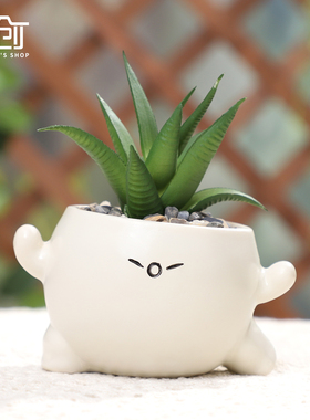 情绪小花盆可爱奶油风卡通笑脸个性创意造型迷你小号盆栽多肉花盆