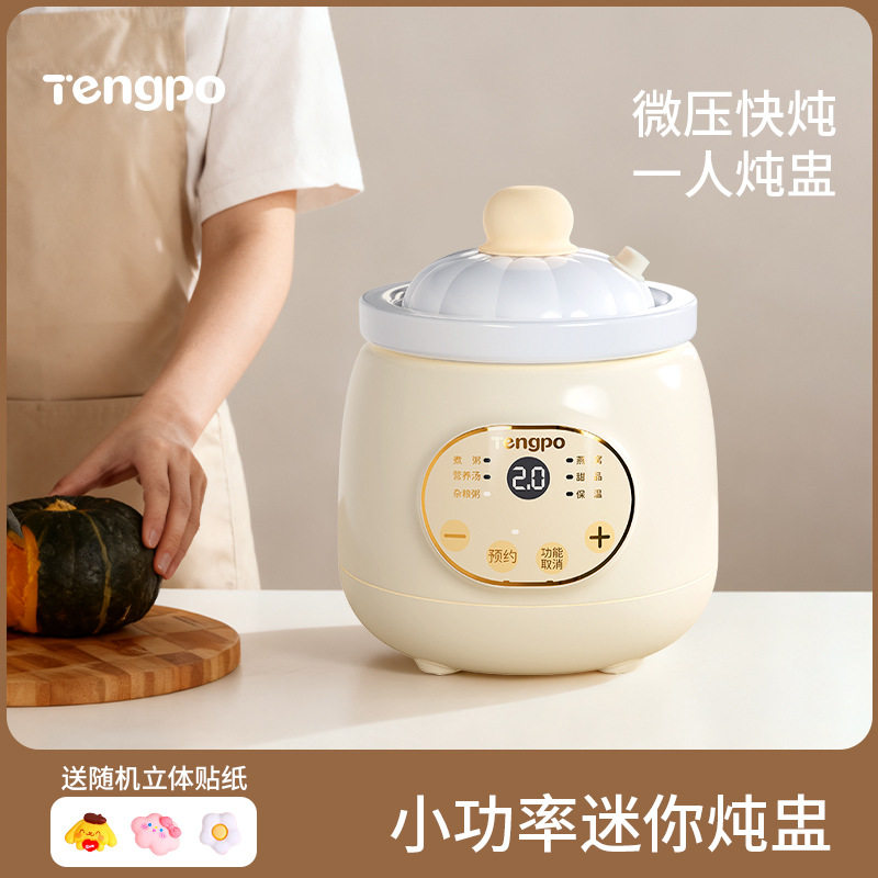 新款一人食迷你电炖锅小型炖盅陶瓷煲炖汤网红多功能煮粥神器家用