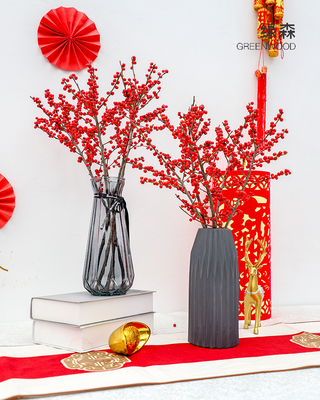 北美冬青果水培客厅办公桌面