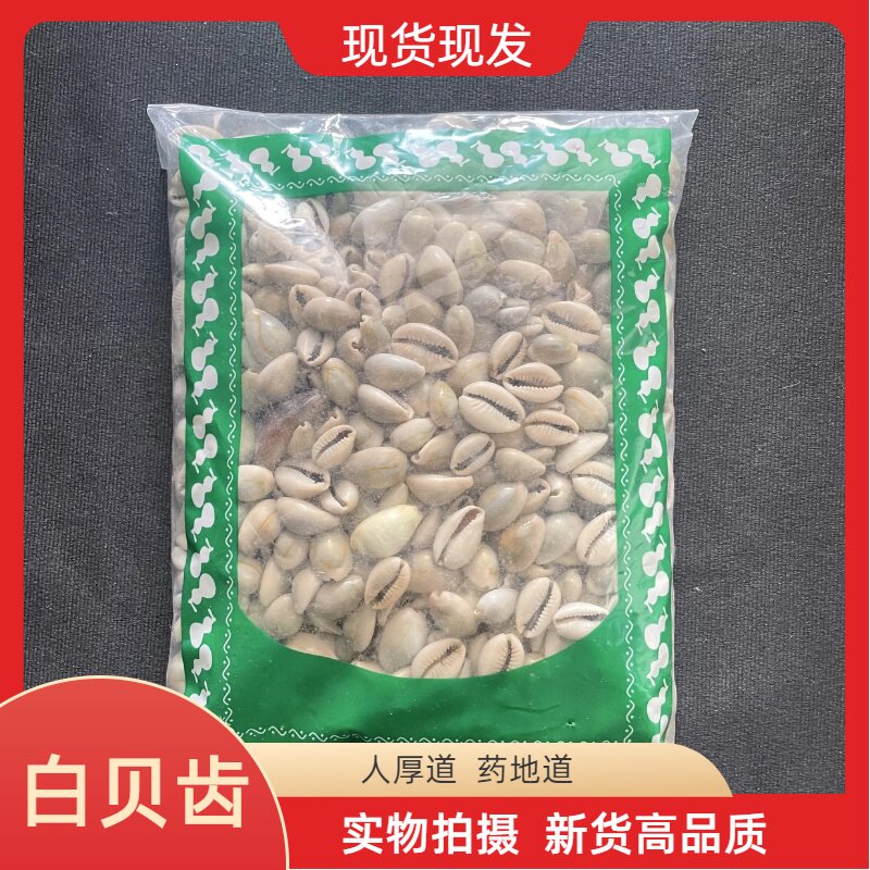 安国中药材市场批 发冷背药材 新货白贝齿 贝子白贝子1000克包邮