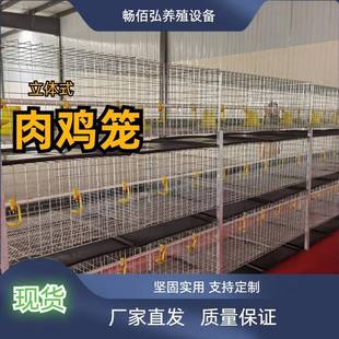 肉鸡笼层叠养鸡冷热镀锌丝加密养殖设备厂家直销现货 简易H式
