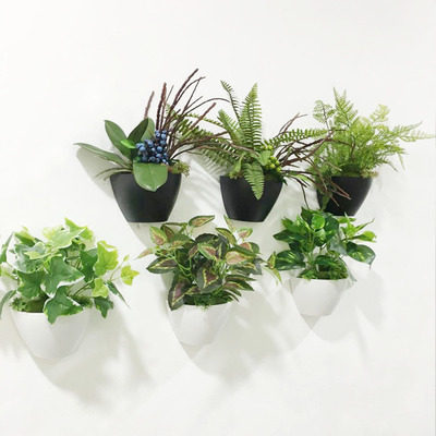 立体仿真多肉植物家居壁饰创意壁挂墙饰挂件客厅背景墙面上装饰品