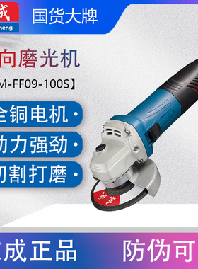 东成S1M-FF09-100S角磨机大功率800W小细手柄磨光机 打磨抛光切割