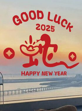 2025蛇年新年大门过年装饰布置贴纸红色橱窗玻璃门贴春节窗花墙贴