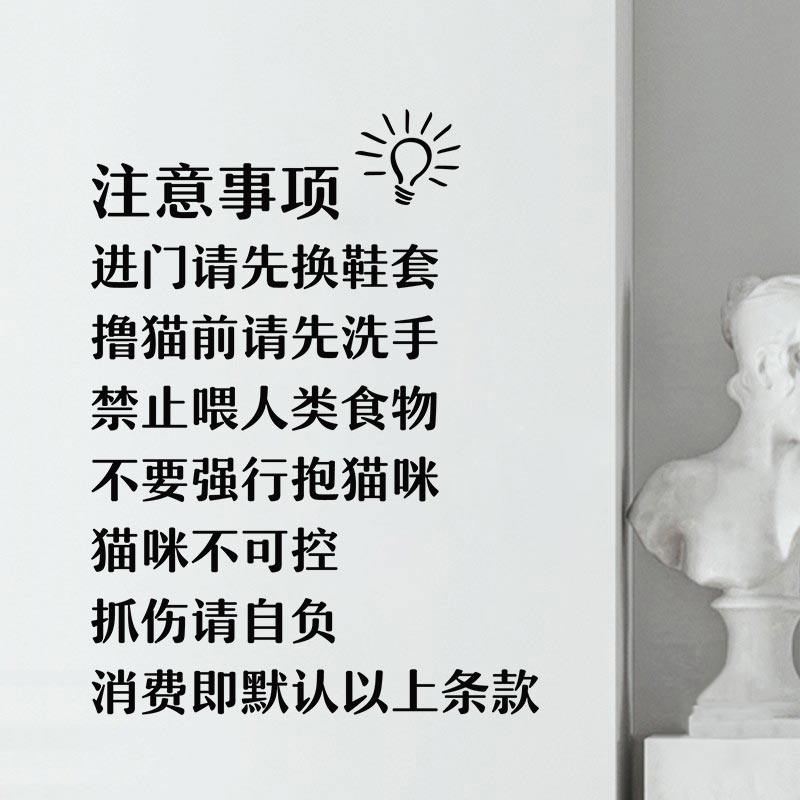 撸猫注意事项爱猫人士提