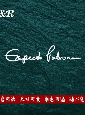 汽车哈利波特呼神护卫咒Expecto Patronum车贴电动摩托车装饰贴纸