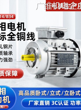 新品可开票对公0/370/750W立式1114//6322铝壳25三相异步马达JW74