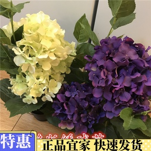 饰仿真绿植 绣球人造盆栽植物仿真花假花装 菲卡 国内IKEA宜家代购