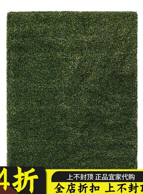 苏州宜家代购 温德姆 长绒地毯 客厅卧室书房 绿色 170x230 厘米