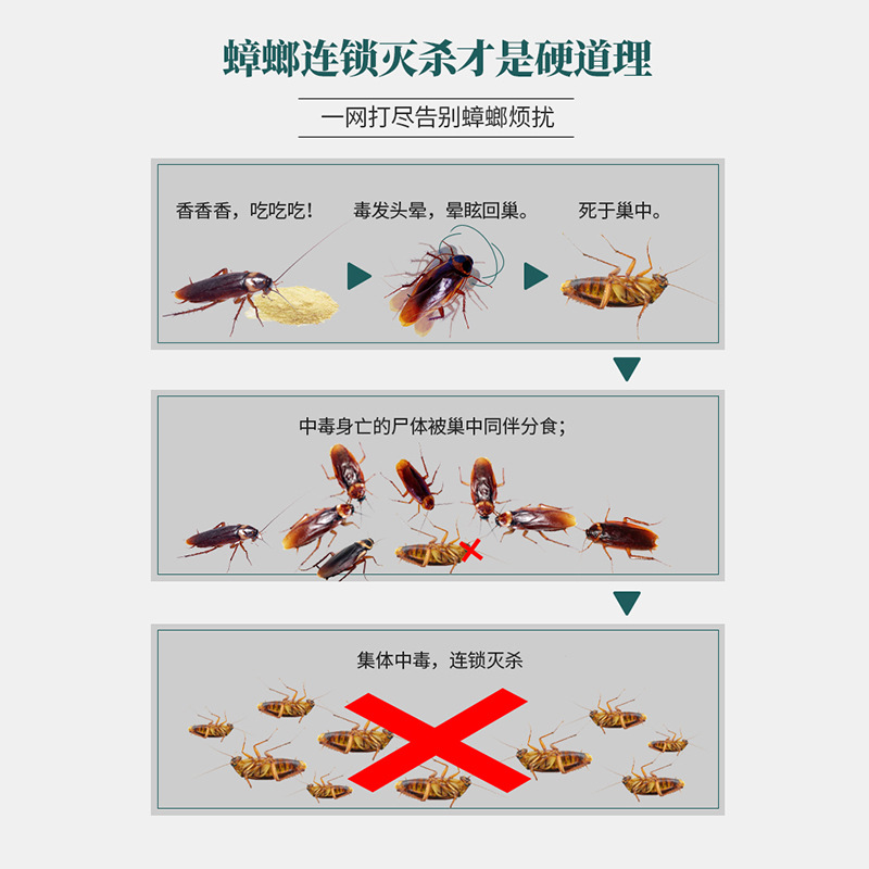 工厂蟑螂药家用酒店灭小强蟑螂诱捕剂厨房杀虫剂驱虫