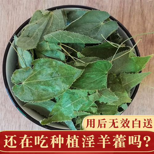 秦岭野生淫羊藿整片叶中药材纯叶