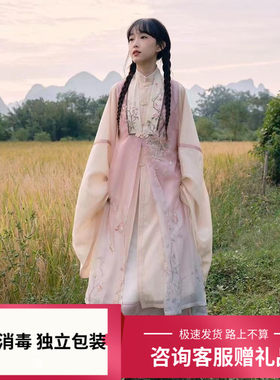租明制立领长衫比甲汉服女款日常