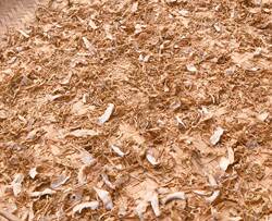 2025新货余姚梁弄笋干菜笋丝梅干菜咸菜笋农家自制干净鲜嫩 500克