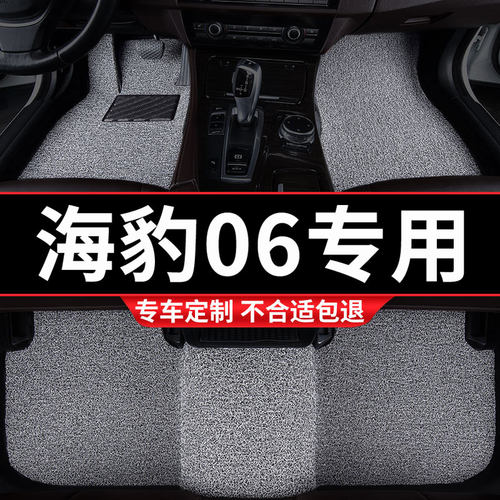 海豹06专用丝圈汽车脚垫