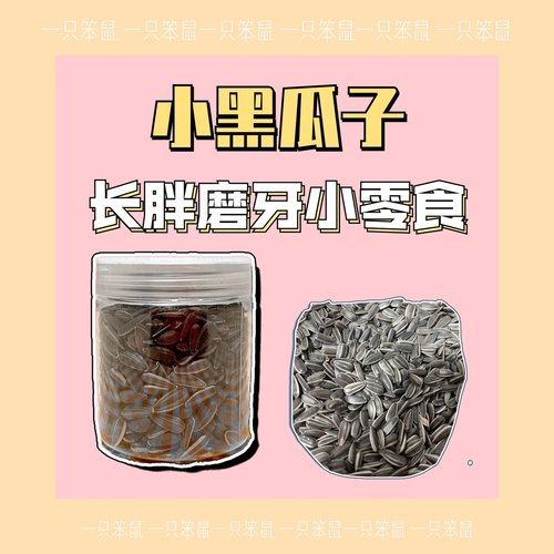 【一只笨鼠】仓鼠金丝熊花枝鼠通心粉长胖补充脂肪磨牙小黑瓜子