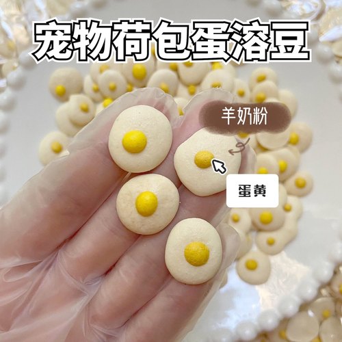 【一只笨鼠】仓鼠金丝熊花枝鼠美毛蛋黄溶豆