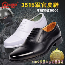 Boots militaires en Première couche de cuir - Ref 1397889 Image 29