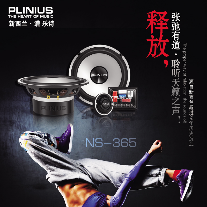 谱乐诗套装扬声器汽车音响