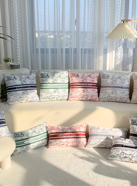 高颜值抱枕床头沙发腰枕靠枕客厅靠垫现代法式客厅卧室办公室含芯
