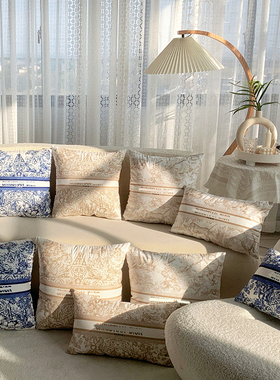 新款时尚轻奢抱枕沙发卧室靠垫客厅床头毛绒汽车靠枕含芯布艺枕套