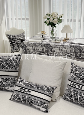 巴黎地图轻奢抱枕沙发卧室靠垫客厅床头毛绒汽车靠枕含芯布艺枕套