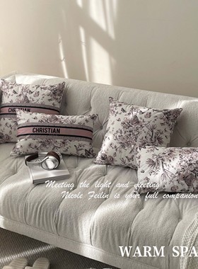 高颜值抱枕床头沙发腰枕靠枕客厅靠垫现代法式客厅卧室办公室含芯