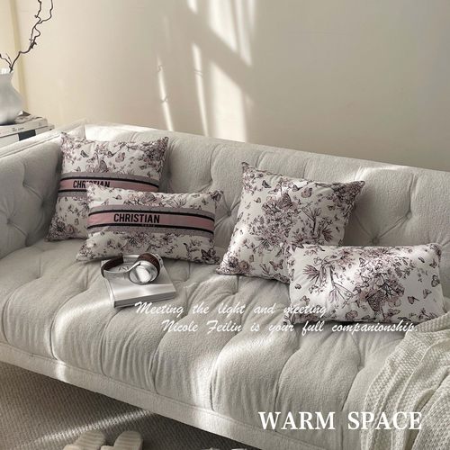PP棉客厅卧室沙发高颜值抱枕靠垫