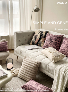 新款时尚轻奢抱枕沙发卧室靠垫客厅床头毛绒汽车靠枕含芯布艺枕套