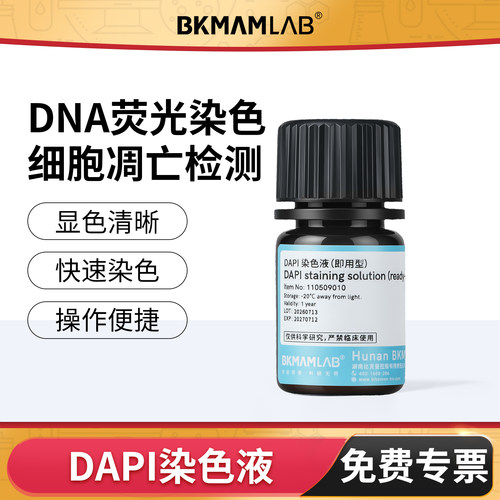 比克曼生物DAPI染色试剂即用型生化试剂实验室细胞核荧光染色试剂