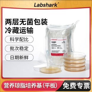 营养琼脂平板血平板弧菌检测盒TCBS微生物细菌培养皿LB培养基TSA