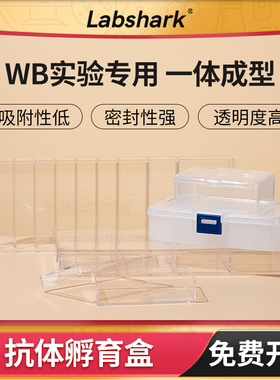 抗体孵育盒wb抗体避光盒western blot双层单格免疫组化湿盒孵育盒