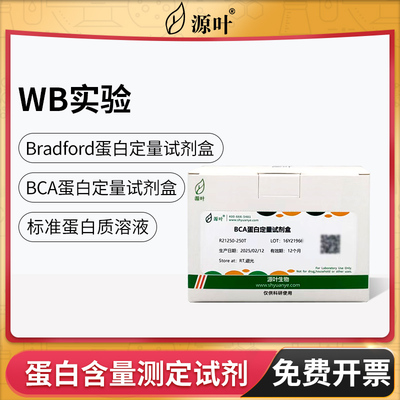 源叶BSA标准蛋白质溶液BCA蛋白定量试剂盒Bradford浓度测定2500T